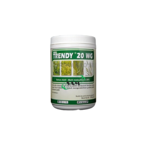 trendy 20 wg